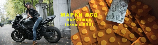 ГАЛЛЮЦИНОГЕННЫЕ ГРИБЫ Краснотурьинск