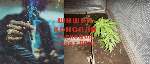 соль ск Краснослободск
